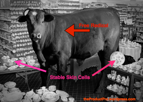 Free radicals: A bull in the china shop (of your skin) at theproductpro.wordpress.com
